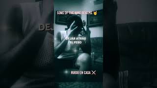 RUIDO EN CASA ⚔️ SONS OF THE NINE REALMS 🤘 #metal #musica #music
