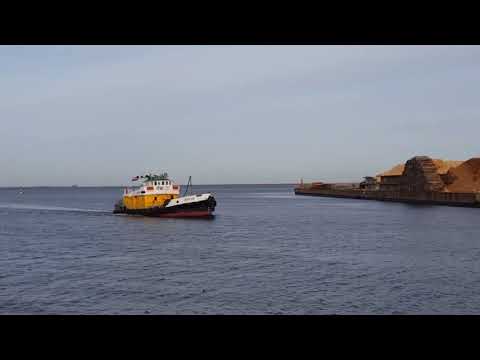 Video: Flotile Ienāk Ostā