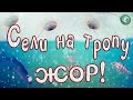 НАДУБАСИЛИ РЫБЫ, УДАЧНО СЕЛИ НА ТРОПУ! КЛЁВ ВЕСЬ ДЕНЬ, РЫБАЛКА С КАМЕРОЙ НА КОТЕЛКАХ, ЛОВИМ НА УРАЛЕ