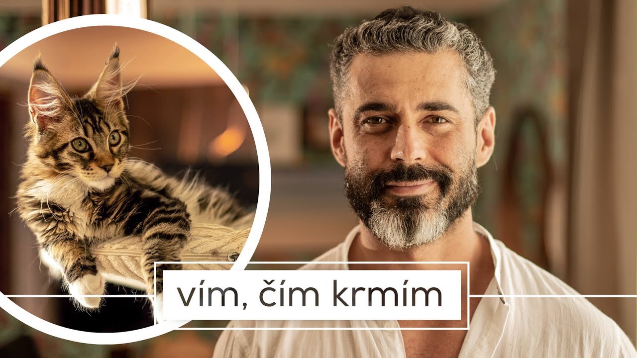 Vyšší kočičí – Království úspěšných mainek a Libora Šuly