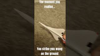 when you hit your wing on the ground: