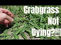 DIY how to kill crabgrass.  My crabgrass is not dying.  How to prevent and control crabgrass
