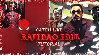 Catch Like Batidao Funk Edit Tutorial | Alight Motion