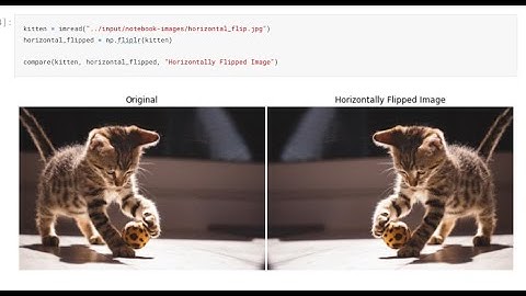 Full Tutorial On Image Processing In Skimage