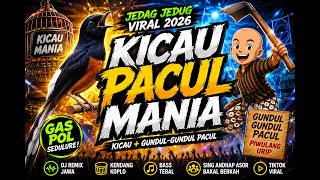 DJ REMIX KICAU PACUL MANIA 🐦🔥 | Kicau Mania x Gundul-Gundul Pacul | Jedag Jedug Viral 2026