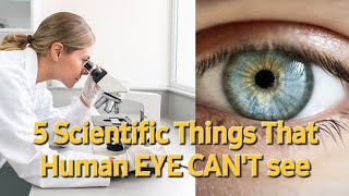 5 Scientific Things That Human Eye CAN'T See!