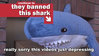 The government, still, does not approve of this shark. (YTP)