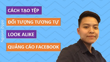 Nguyen Zippo/ Cách tạo Tệp đối tượng Tương Tự - Look alike quảng cáo facebook