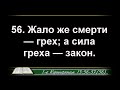 Воскресное Богослужение 02.04.2023 - 3Christ.ru