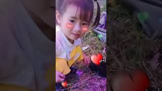 Như Quỳnh TV có sở thích nuôi chó thucung baby