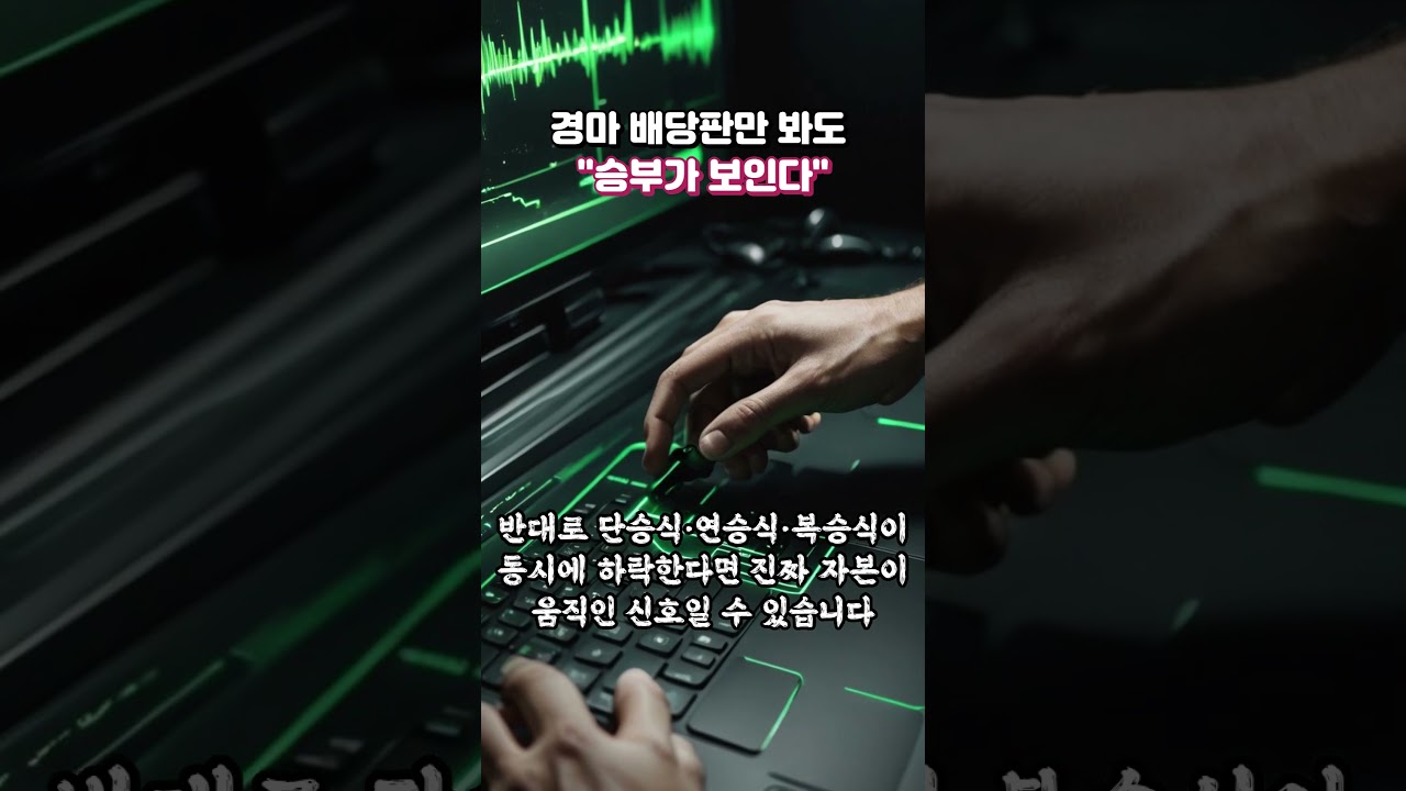 경마 배당판만 봐도! 승부가 보인다!
