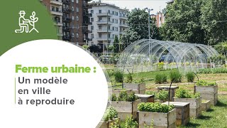 Ferme urbaine : Un modèle en ville à reproduire