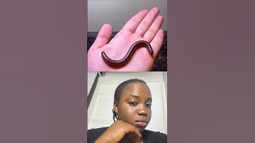 YOU BETTER LIKE AND SUBSCRIBE! #duet #mindoverblox #roblox #comedy #viral #cute #creatoriq