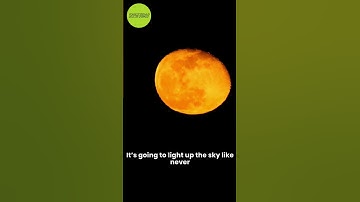 The Rare Full Moon 2026! 🌕🤩 #space #shorts #astronomy #science
