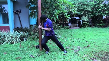 Video Reference - Push