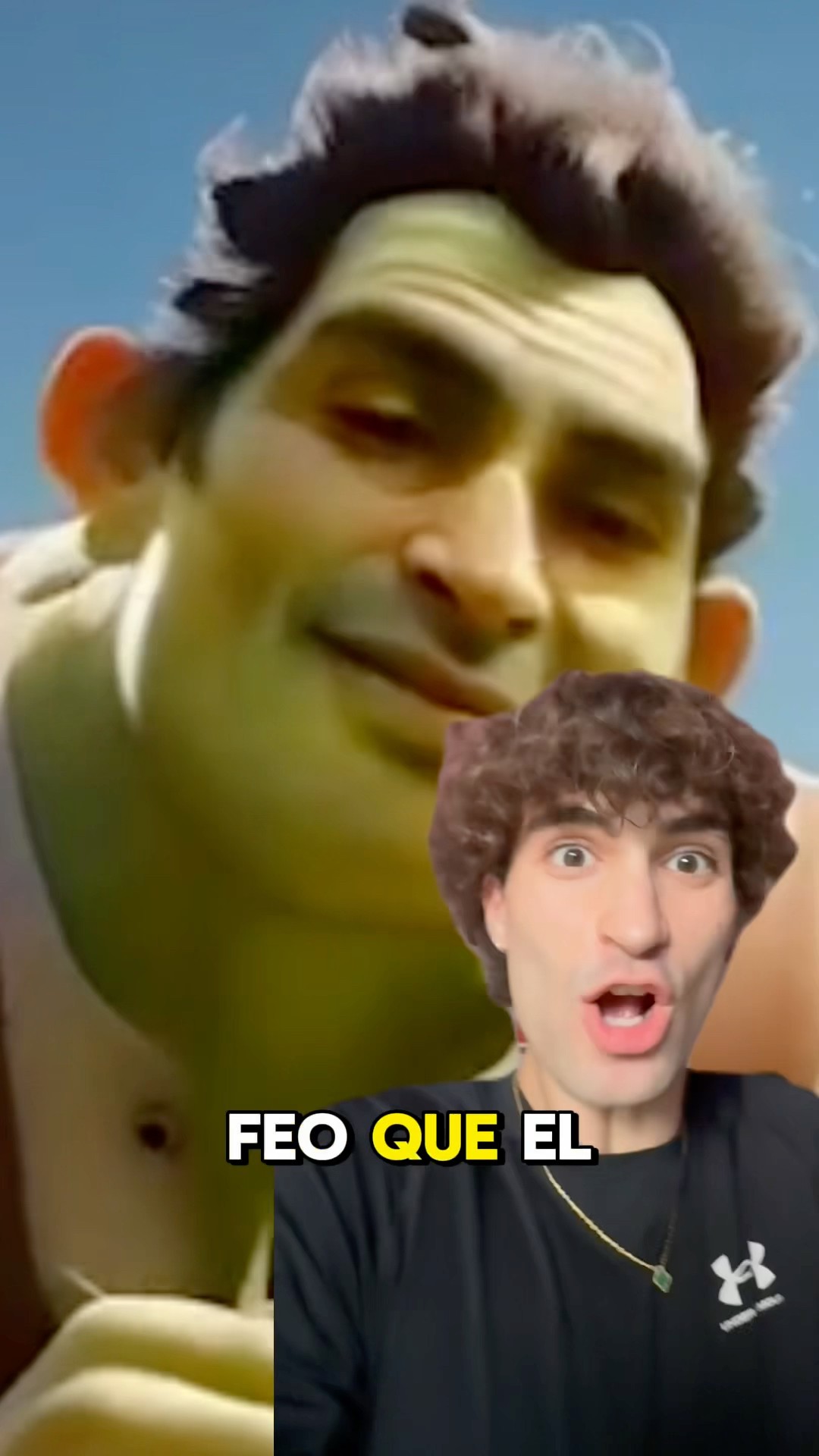 COMO ME VERÍA SI FUERA SHREK