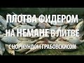 ФИДЕРНАЯ ЛОВЛЯ ПЛОТВЫ. РЫБАЛКА на НЕМАНЕ с НОРМУНДОМ ГРАБОВСКИСОМ в ЛИТВЕ