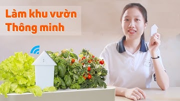 IoT Là Gì? Cách Làm Hệ Thống IoT Thông Minh Smart Garden - Ứng Dụng Vườn Thông Minh Tưới Cây Tự Động