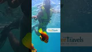 𝙈𝙖𝙡𝙙𝙞𝙫𝙚𝙨 𝙏𝙤𝙪𝙧