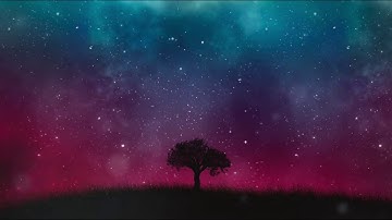 Motion graphics Background video loop-Single tree Animation 4K