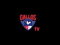 Gallos tv joe conway