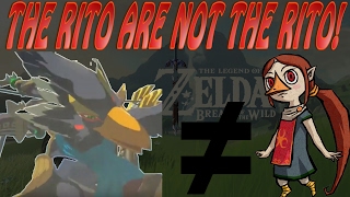 Breath of the Wild Theory - The Rito are NOT the Rito!