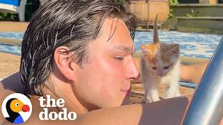 couple rents airbnb goes home 1 pound kitten dodo