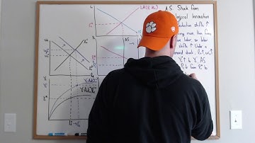 RBC Shocks 1/4: Technology Shocks