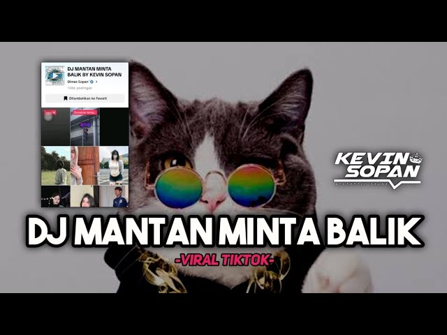 DJ MANTAN MINTA BALIK BY KEVIN SOPAN || VIRAL TIKTOK DIMAS SOPAN class=