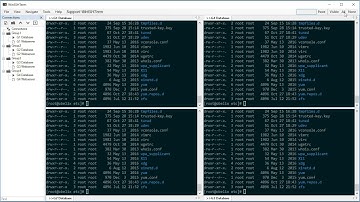 WinSSHTerm - Multi-Input feature