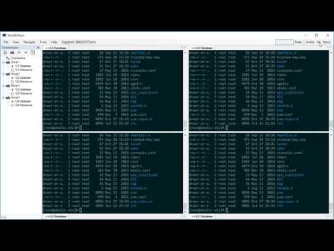 WinSSHTerm - Multi-Input feature