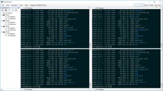 WinSSHTerm - Multi-Input feature
