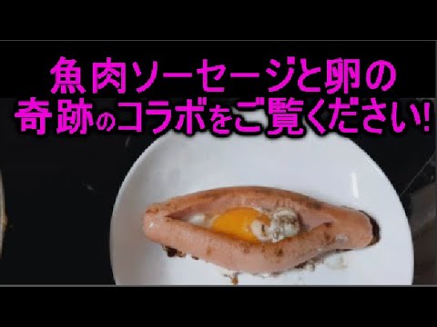 魚肉ソーセージと卵は、お弁当のおかずやつまみになる子供に人気のレシピ♪