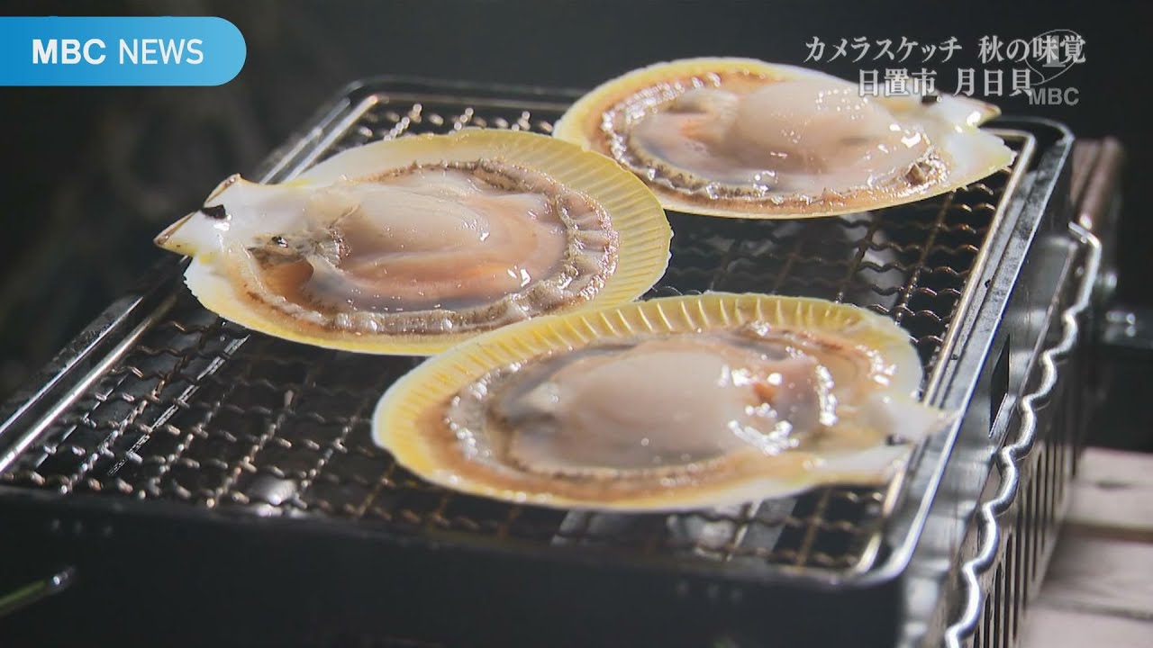 Autumn Delicacy: Moon and Sun Scallops in Hioki City (Broadcast