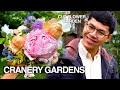 Important questions before you start a cut flower garden january garden tour 2024