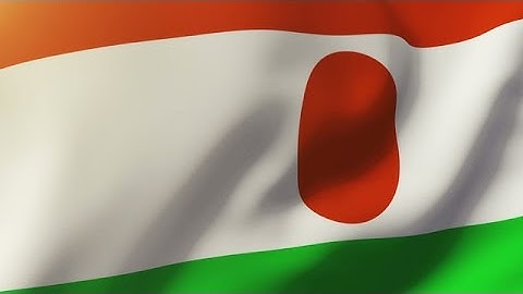 Niger Flag Waving In The Wind. Looping Sun Rises Style. Animation Loop Stock Animation