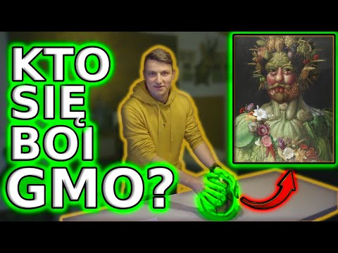 Wideo: Czy róże są modyfikowane genetycznie?