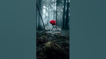 يوم يقول المنافقون والمنافقات-سورة الحديد -القارىء محمد النقيدان #قرآن