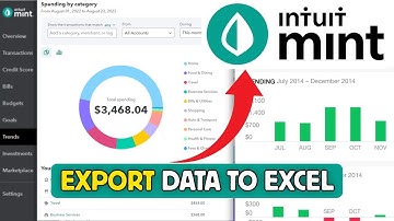 How to Export Mint Data to Excel 2025?