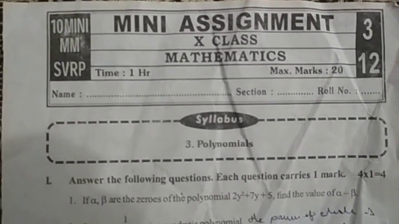 micro mini assignment 10th class maths