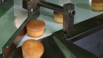 Full Automatic Sorting Packaging System