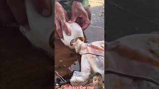 Natural stone #ytshorts #fishing #shortfeed #beautiful #islamicpost #saveanimals #nature#shortclip