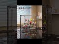 컨테이너형 디자인 수집용 피규어 및 블라인드 박스용 아크릴 정리함 고화질 투명 소형 디스플레이 케이스