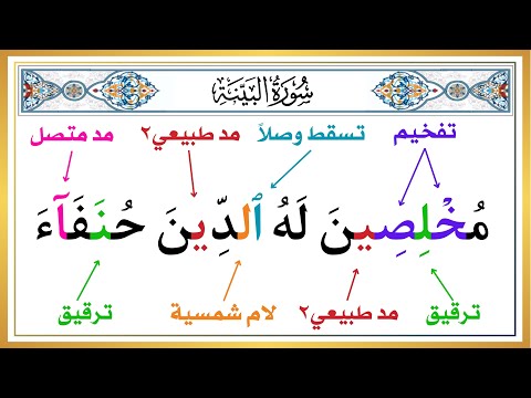 الجزء الأول من سورة البينة تعلم أحكام التجويد من البداية الطريقة الصحيحة علم أولادك القرآن
