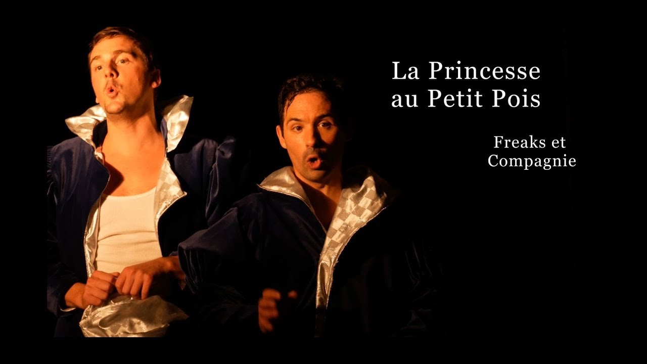 La Princesse Et Le Petit Pois Film Teaser La Princesse au Petit Pois - YouTube