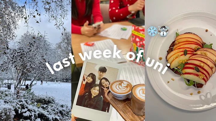 exam week vlog last week of term 1, first snow in ...