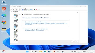 How To Update Microsoft Basic Display Adapter in Windows