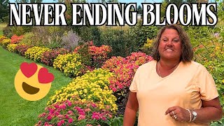 картинка: Цвет, который не угаснет | Экскурсия по садам Garden Crossings: поздние осенние цветы | Октябрь 2...