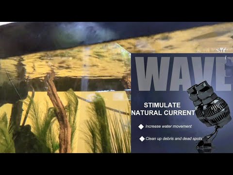 Make a Realistic Natural Stream by using a Powerful Wavemaker that fits  your budget Hygger HG 707 - YouTube