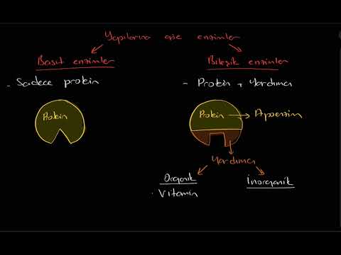 Video: Reaksiyonlarda enzimlerin rolü nedir?